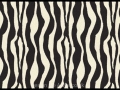 zebra_stripes_mat