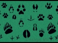 animal_prints_mat01l