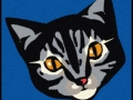 cat_mat_01p