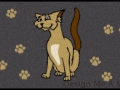 cat_mat_02