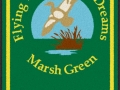marsh_green