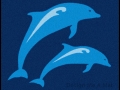 dolphins_03