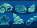 sea-shells
